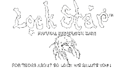 LockStarNaturalDreadlockCare